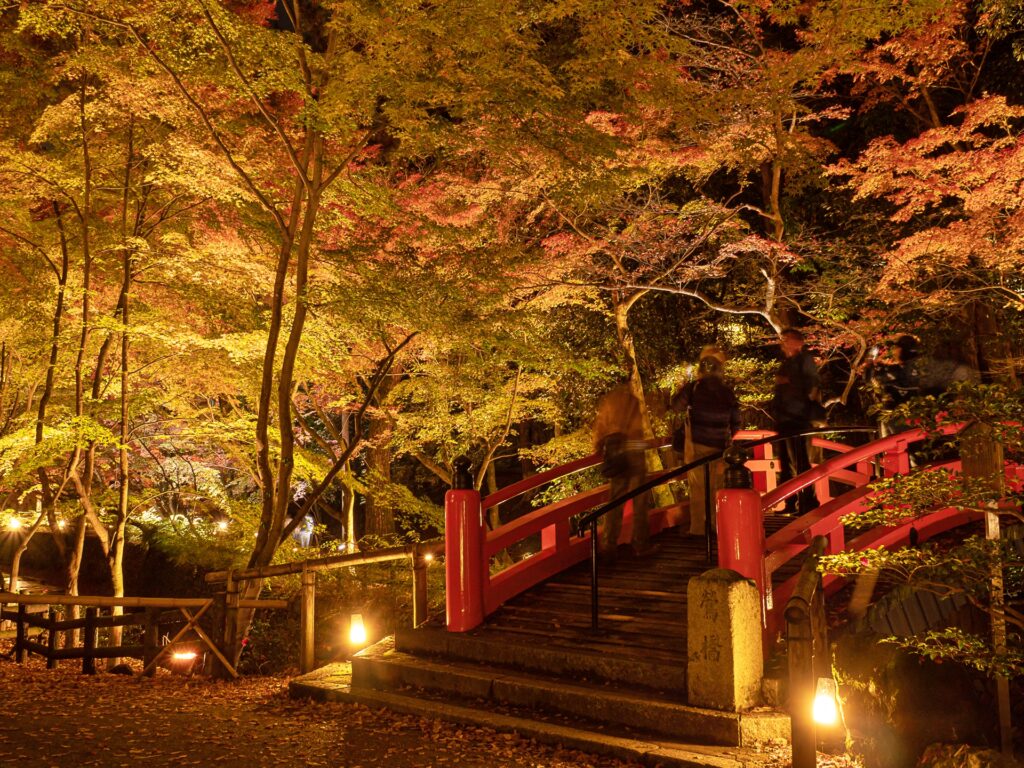 北野天満宮　紅葉ライトアップ