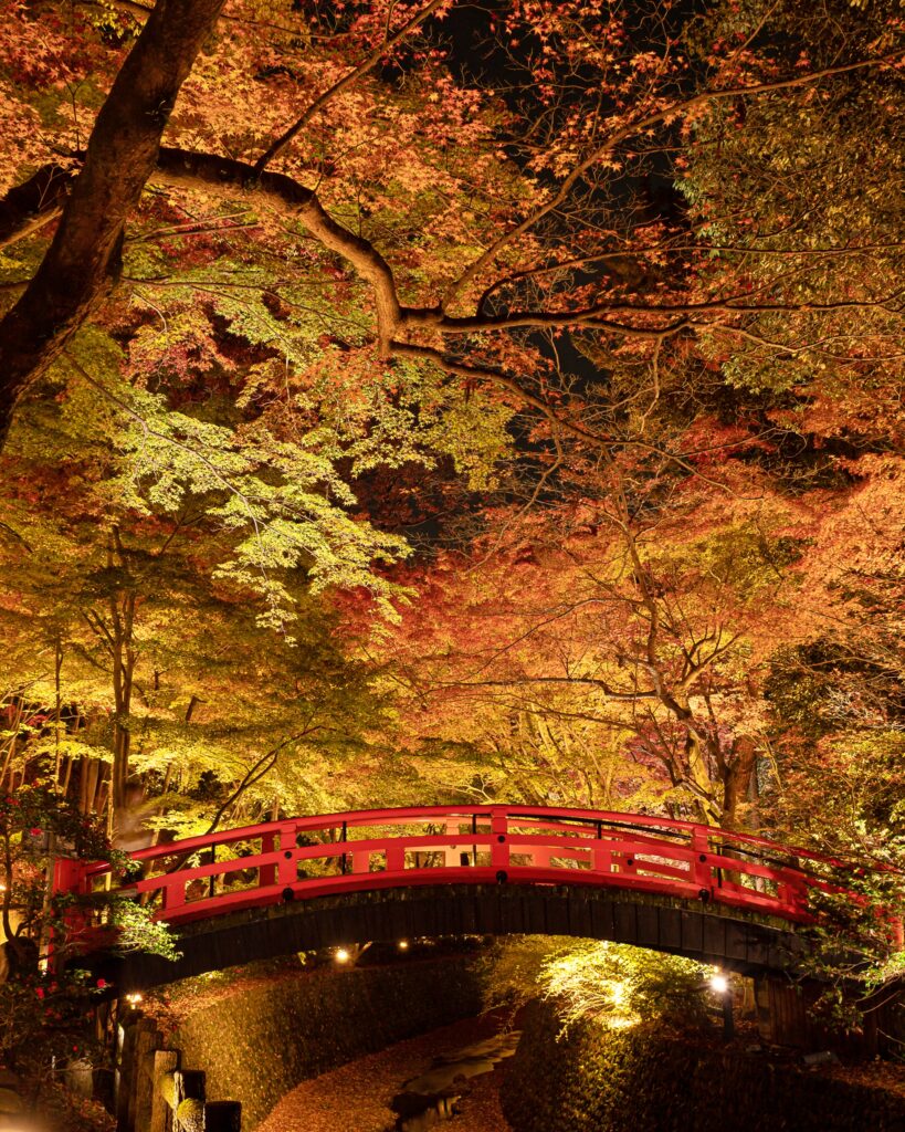 北野天満宮　紅葉ライトアップ　鶯橋