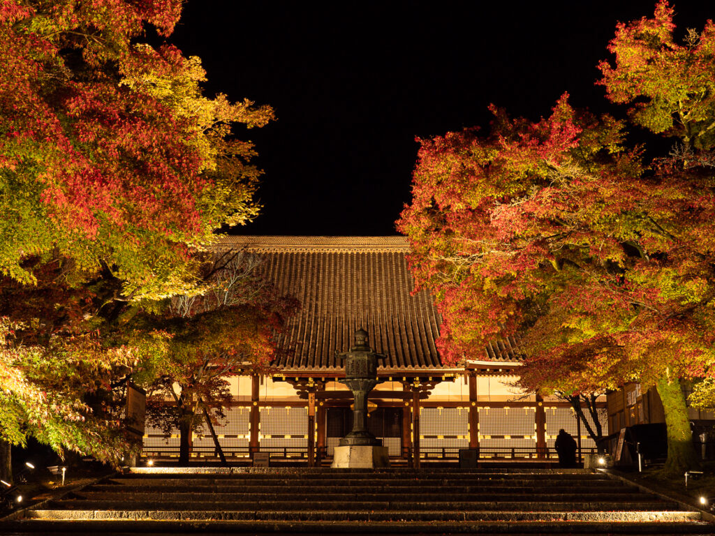 仁和寺　紅葉ライトアップ　本堂