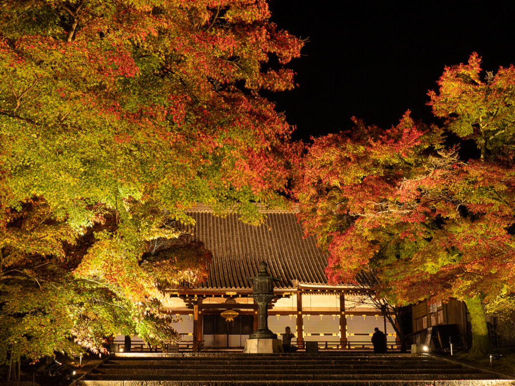 仁和寺　紅葉ライトアップ　金堂