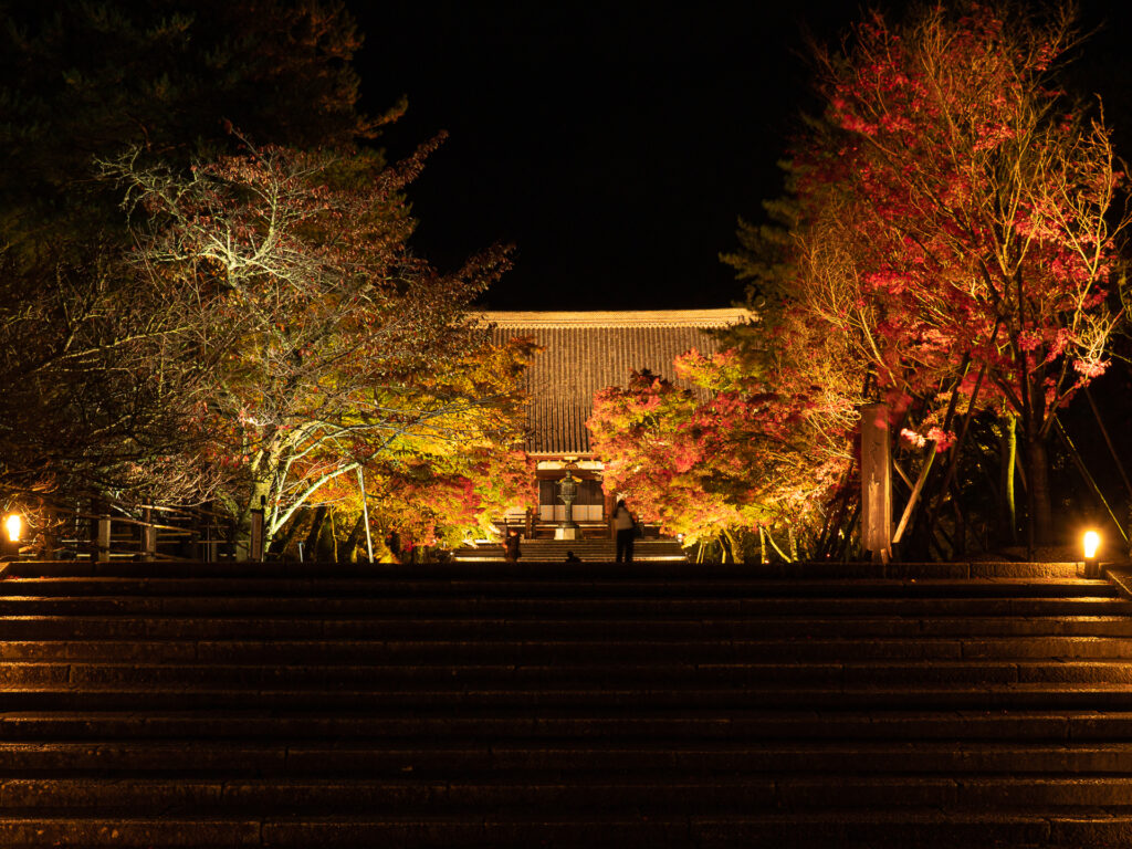 仁和寺　紅葉ライトアップ　参道