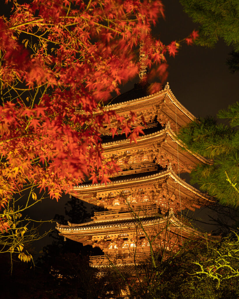 仁和寺　紅葉ライトアップ　五重塔