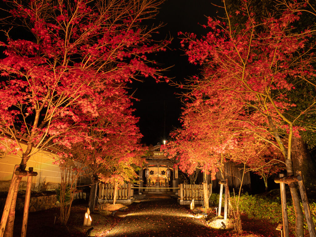 仁和寺　紅葉ライトアップ　水掛不動尊