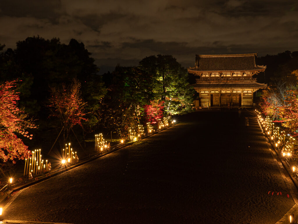 仁和寺　紅葉ライトアップ　参道