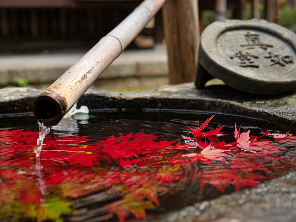 真如堂の紅葉　手水舎