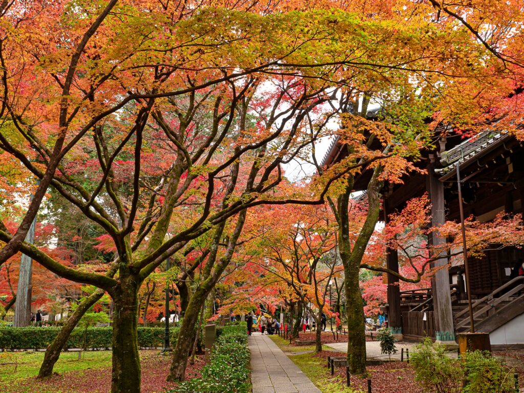 真如堂の紅葉　境内