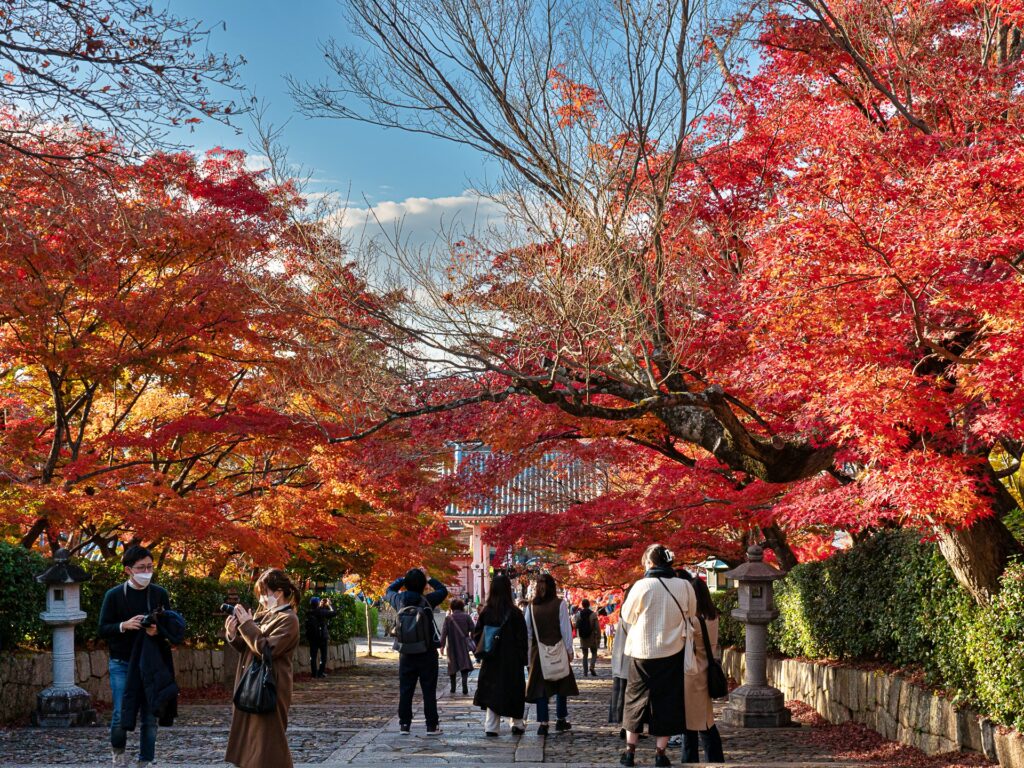 真如堂の紅葉　参道