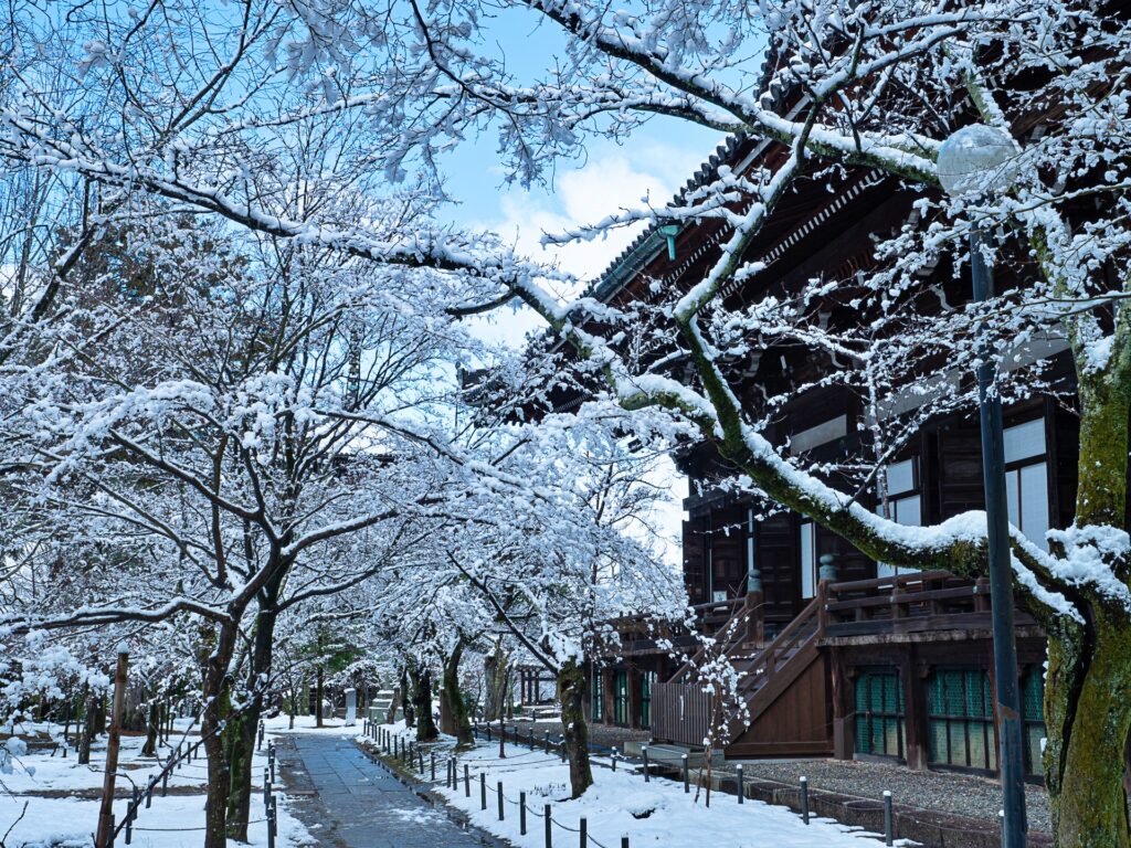 雪の真如堂　境内