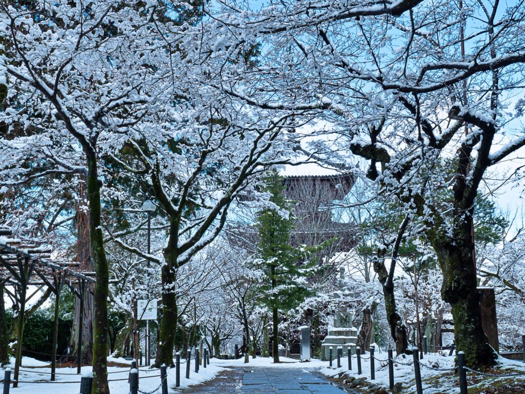 雪の真如堂　境内