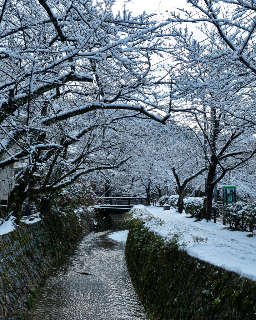 哲学の道　雪景色