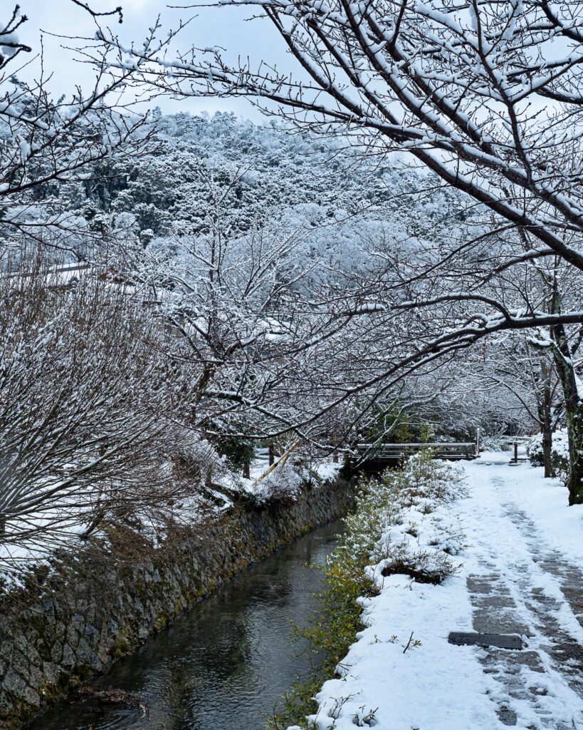 哲学の道　雪景色