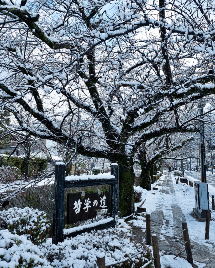 哲学の道　雪景色