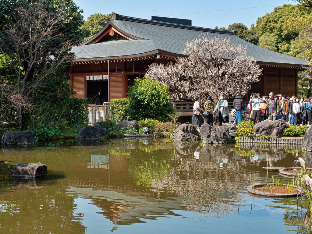 城南宮の梅　平安の庭