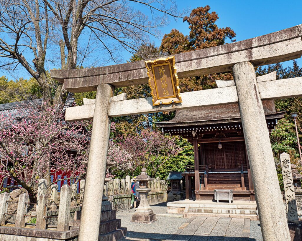 城南宮の梅　唐渡天満宮