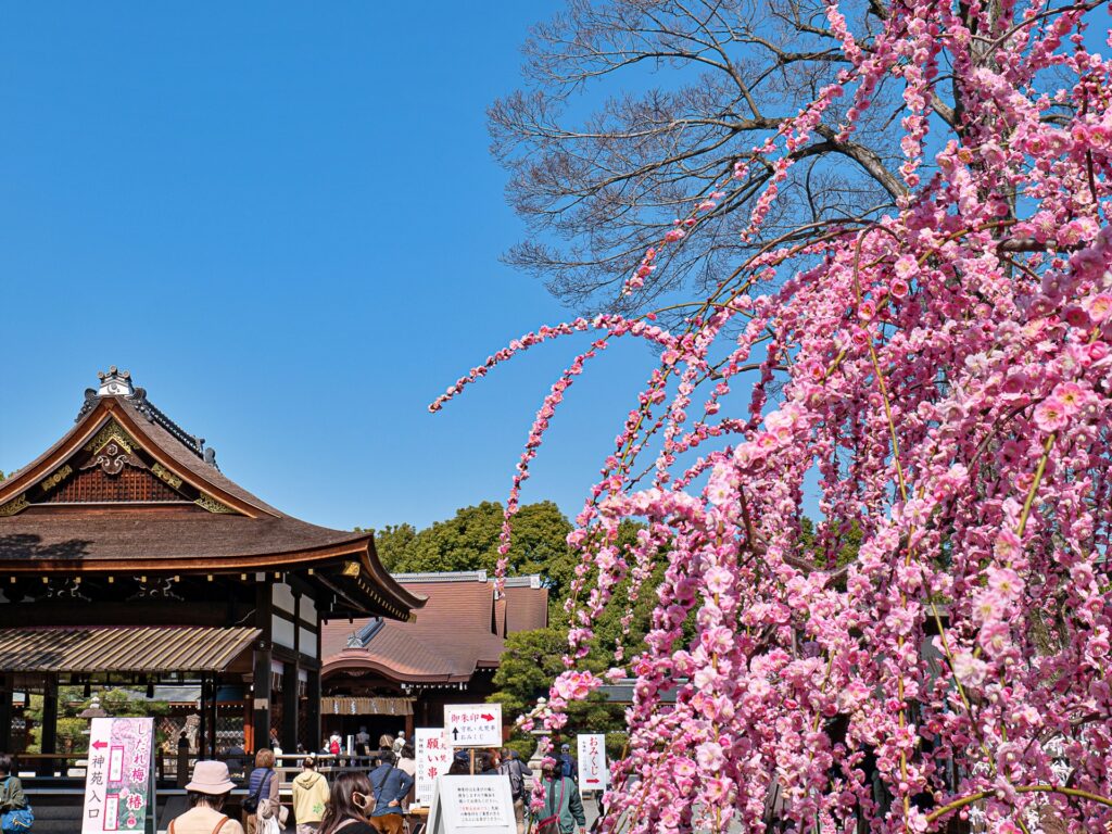 城南宮　枝垂れ梅と社殿