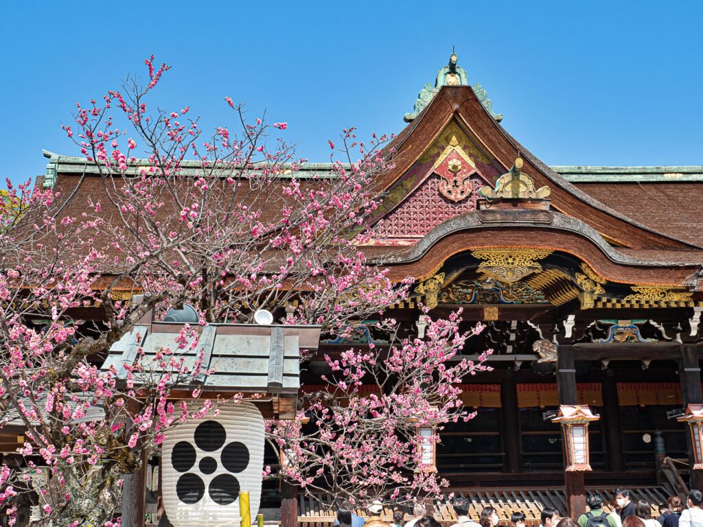 北野天満宮　御本殿と飛梅