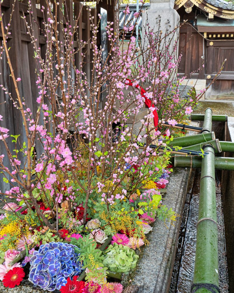 北野天満宮　花手水と梅