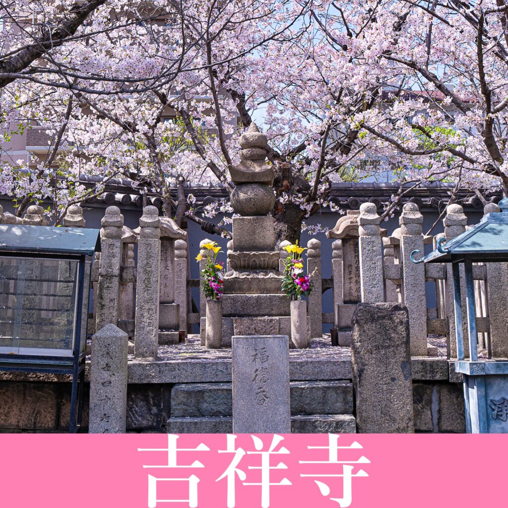 吉祥寺　桜