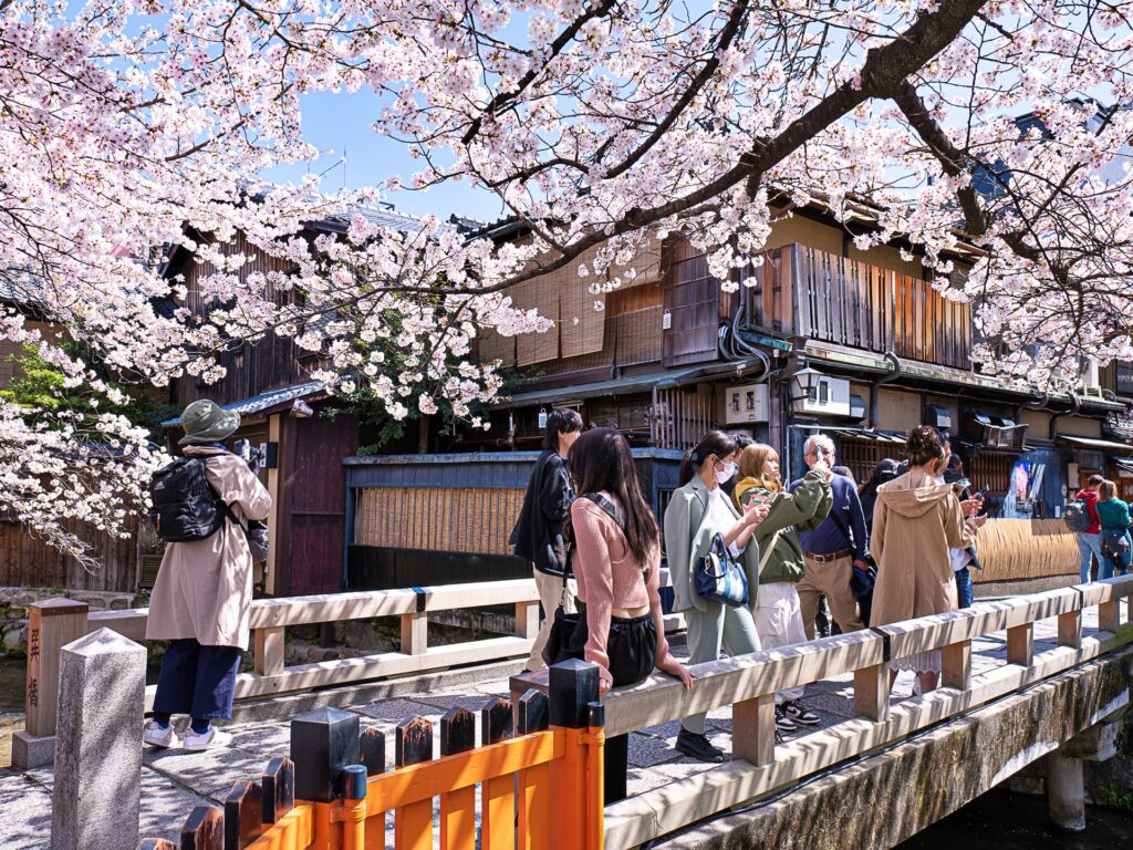 祇園白川　巽橋　桜