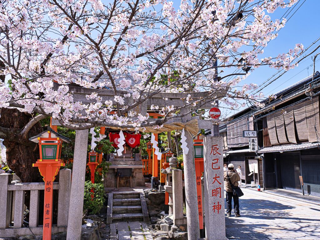 祇園白川　辰巳大明神と桜