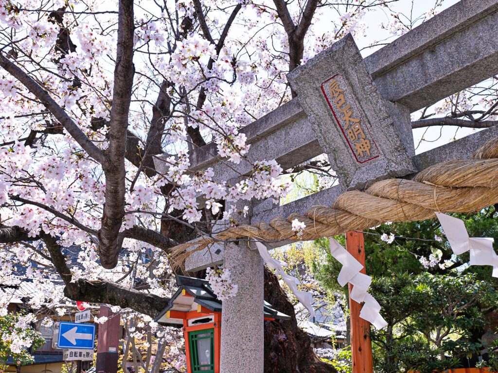 祇園白川　辰巳大明神と桜