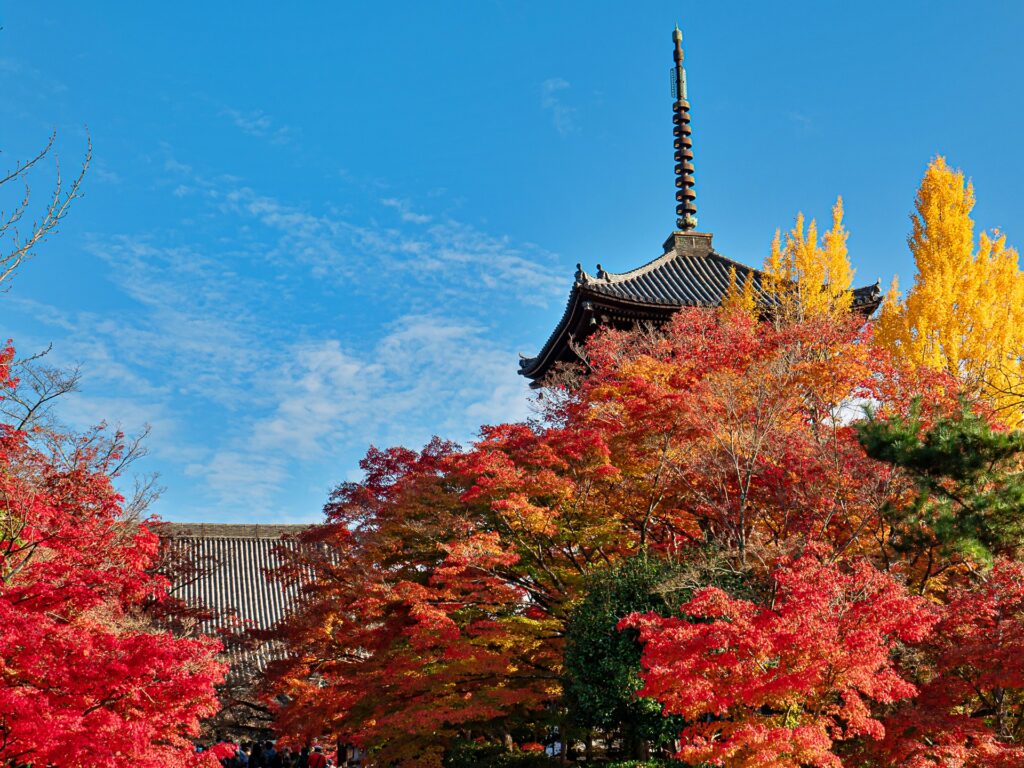 真如堂の紅葉