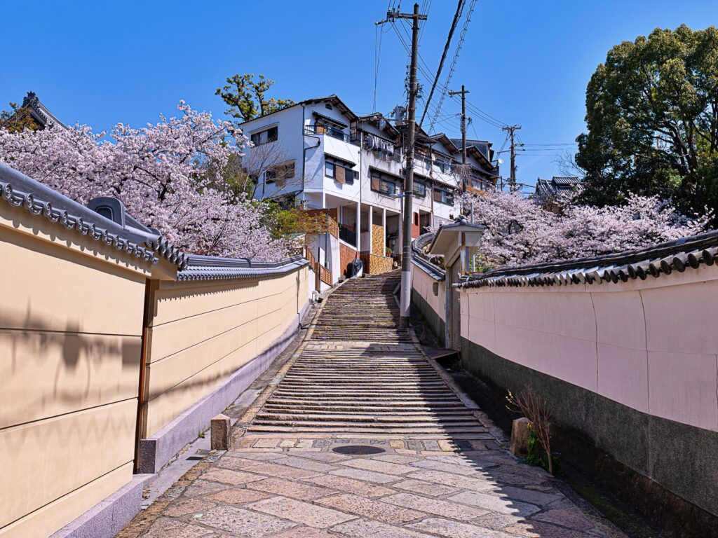 天王寺七坂　源聖寺坂の桜