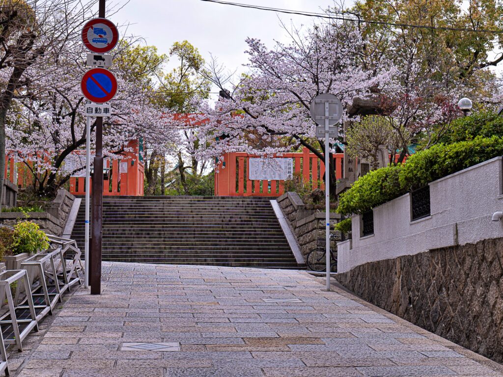 天王寺七坂　真言坂の桜