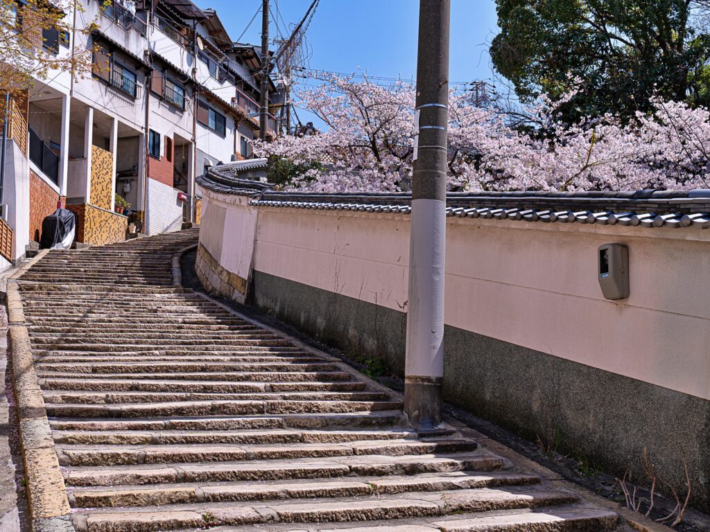 天王寺七坂　源聖寺坂の桜