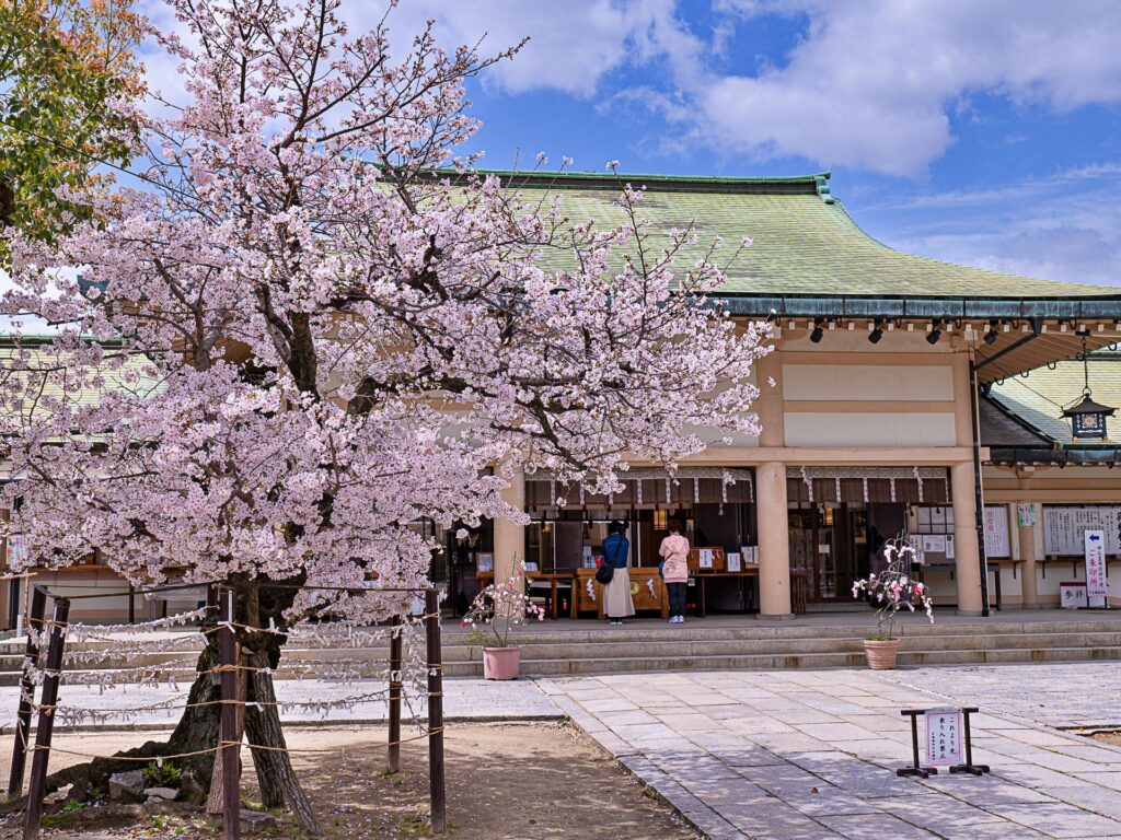 天王寺七坂　生國玉神社の桜