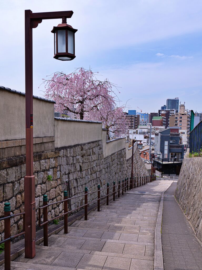 天王寺七坂　清水坂の桜