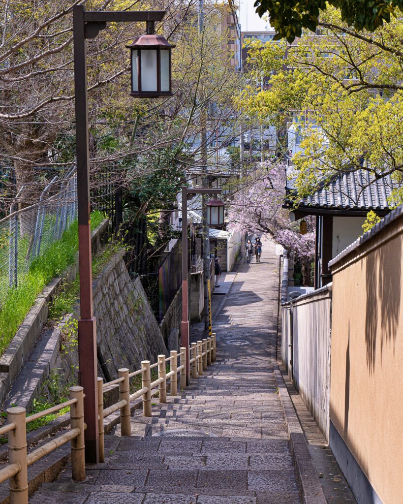 天王寺七坂　口縄坂の桜