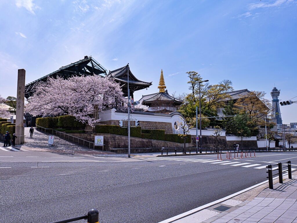 天王寺七坂　逢坂の桜