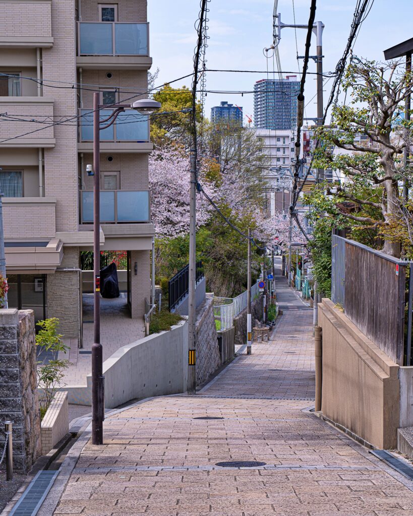 天王寺七坂　天神坂の桜