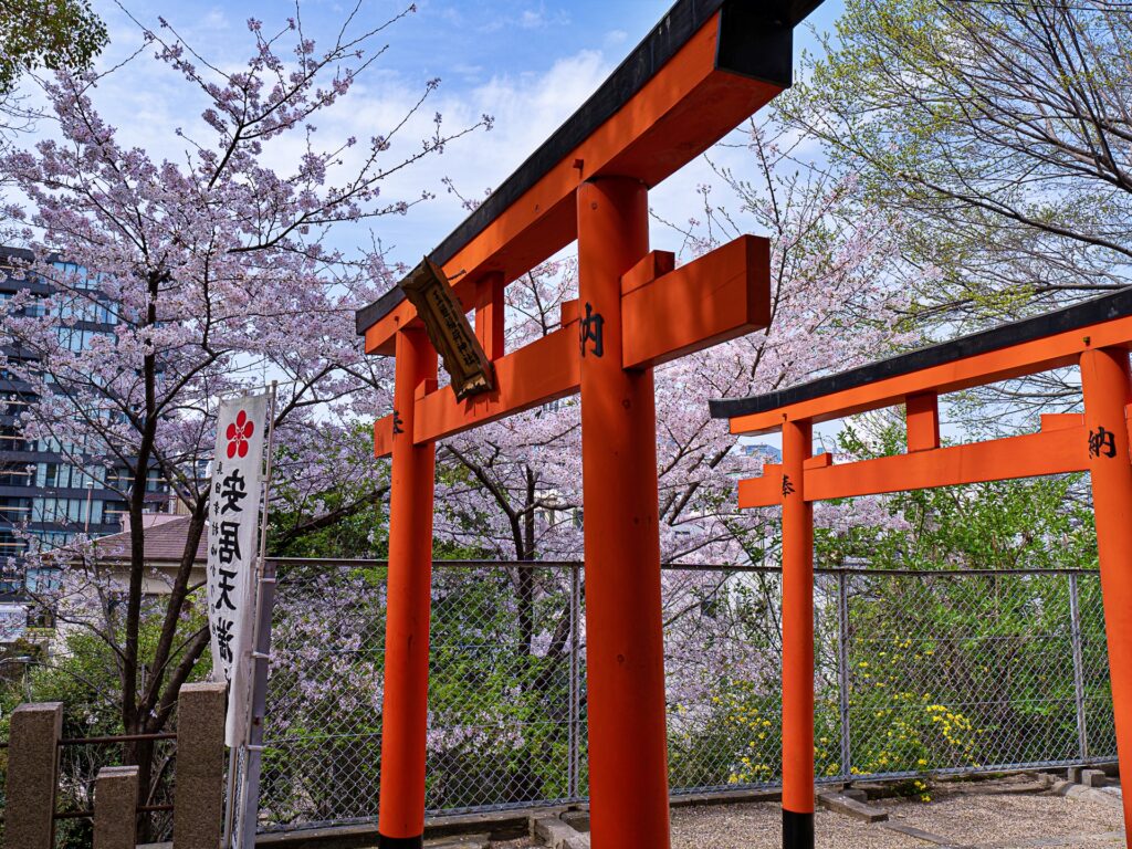 天王寺七坂　安居神社の桜