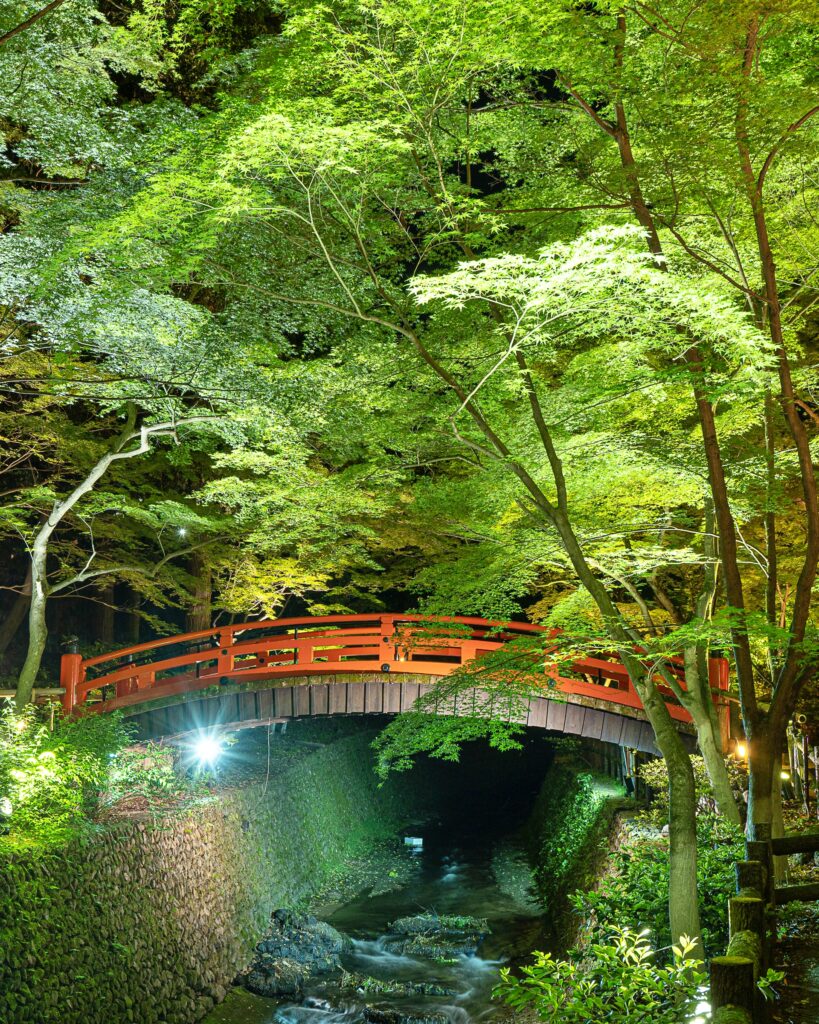 北野天満宮　青もみじライトアップ　鶯橋