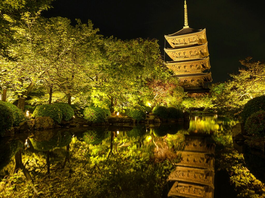 東寺　青もみじライトアップ　五重塔　瓢箪池より