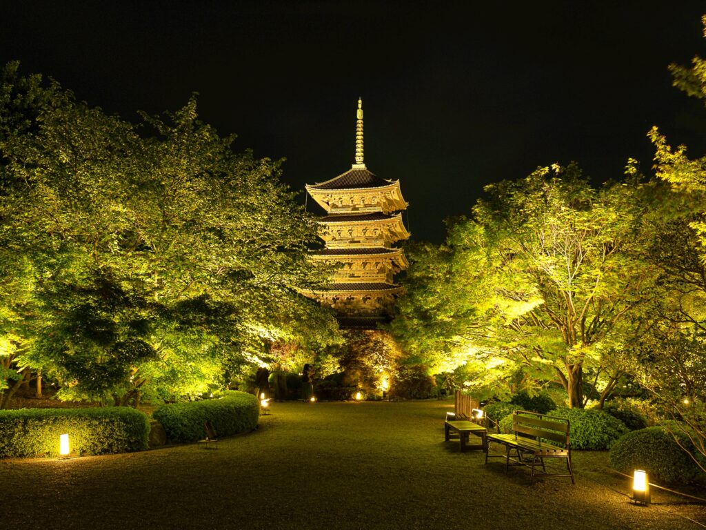 東寺　青もみじライトアップ