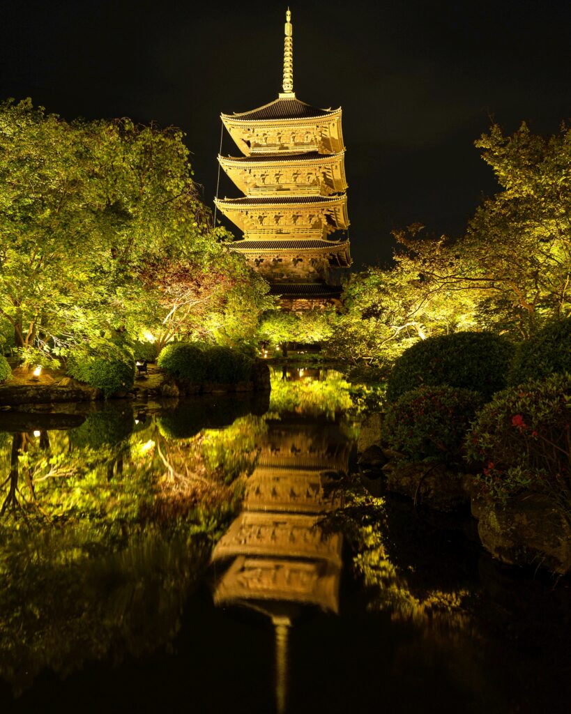 東寺　青もみじライトアップ　五重塔　瓢箪池より