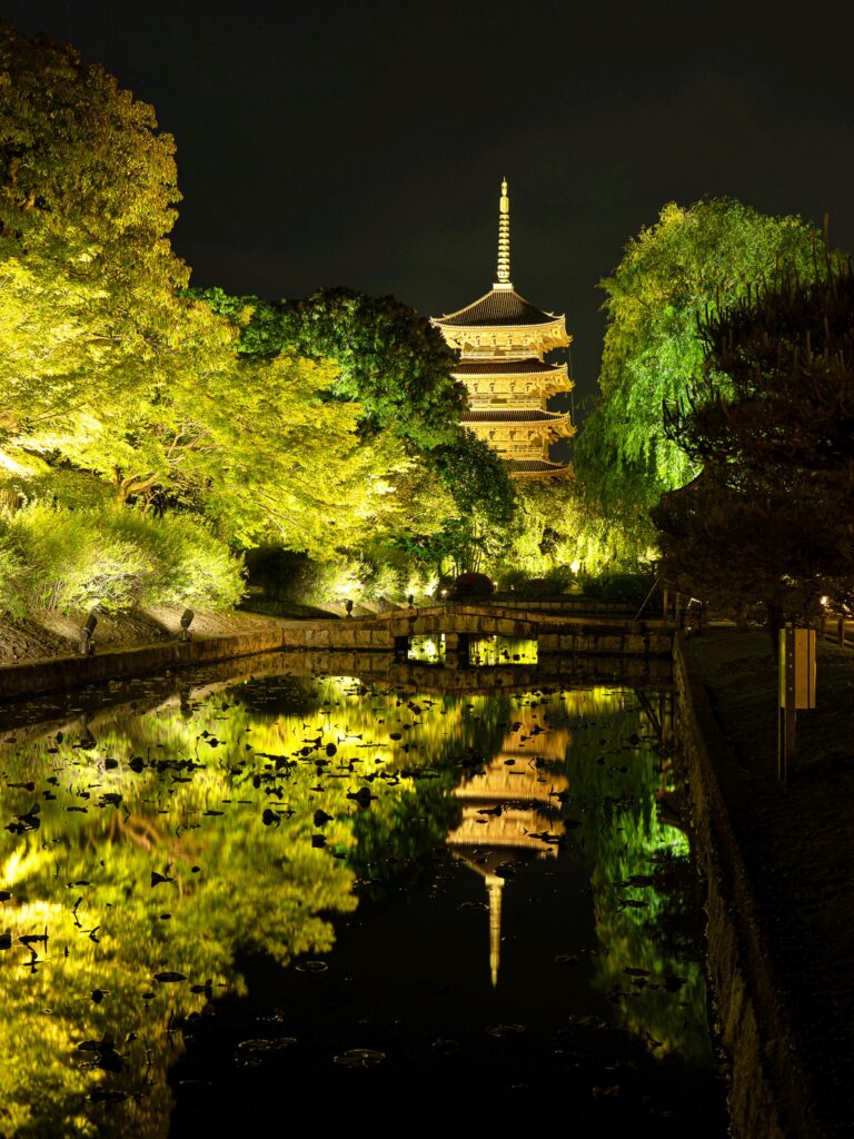 東寺　青もみじライトアップ　五重塔　リフレクション