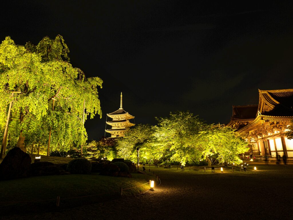 東寺　青もみじライトアップ