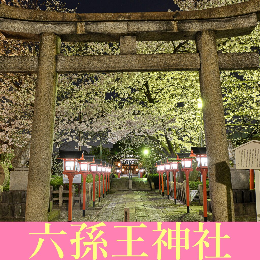 六孫王神社　桜ライトアップ