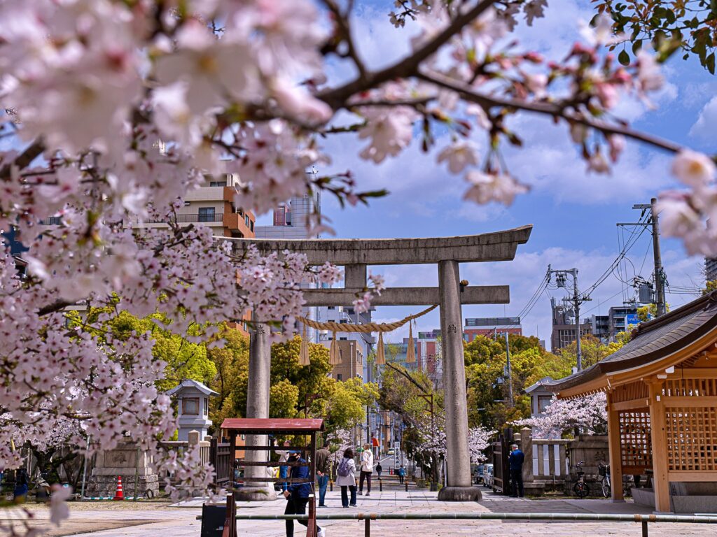 生國魂神社の桜