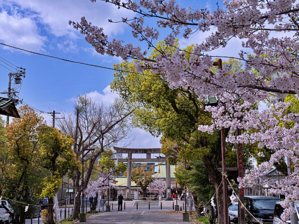 生國魂神社の桜　参道