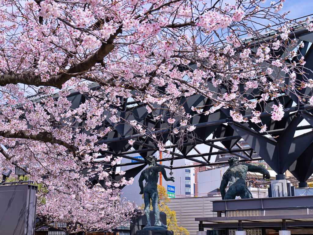 一心寺の桜　仁王像