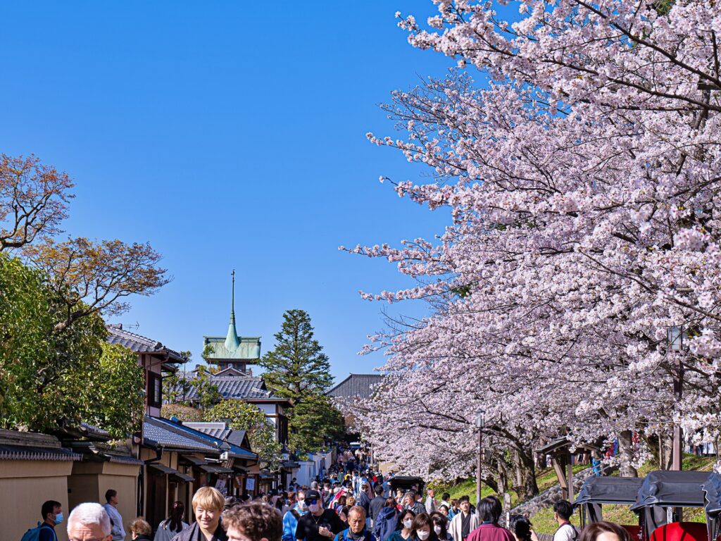 ねねの道の桜