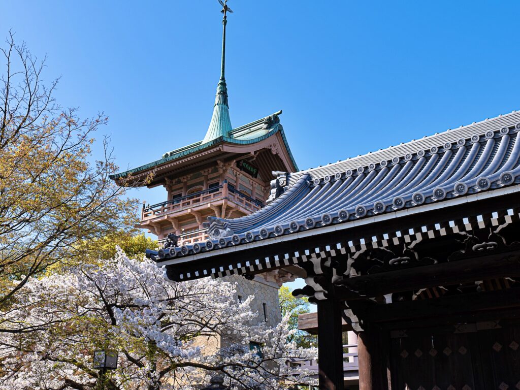 ねねの道の桜　祇園閣