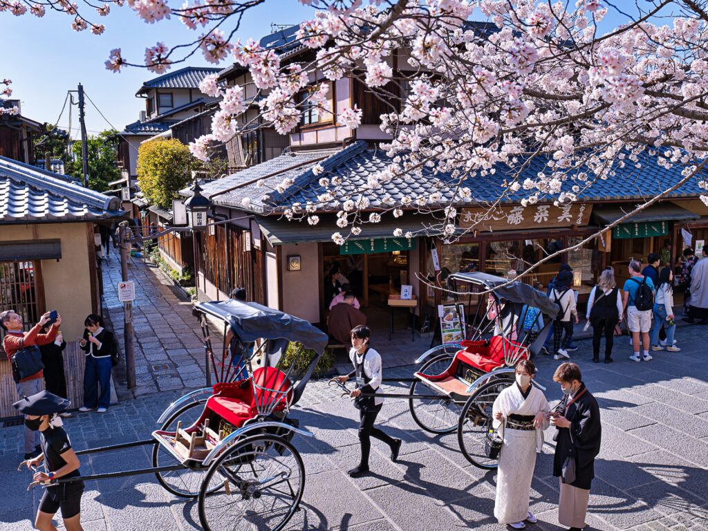 ねねの道の桜　石塀小路