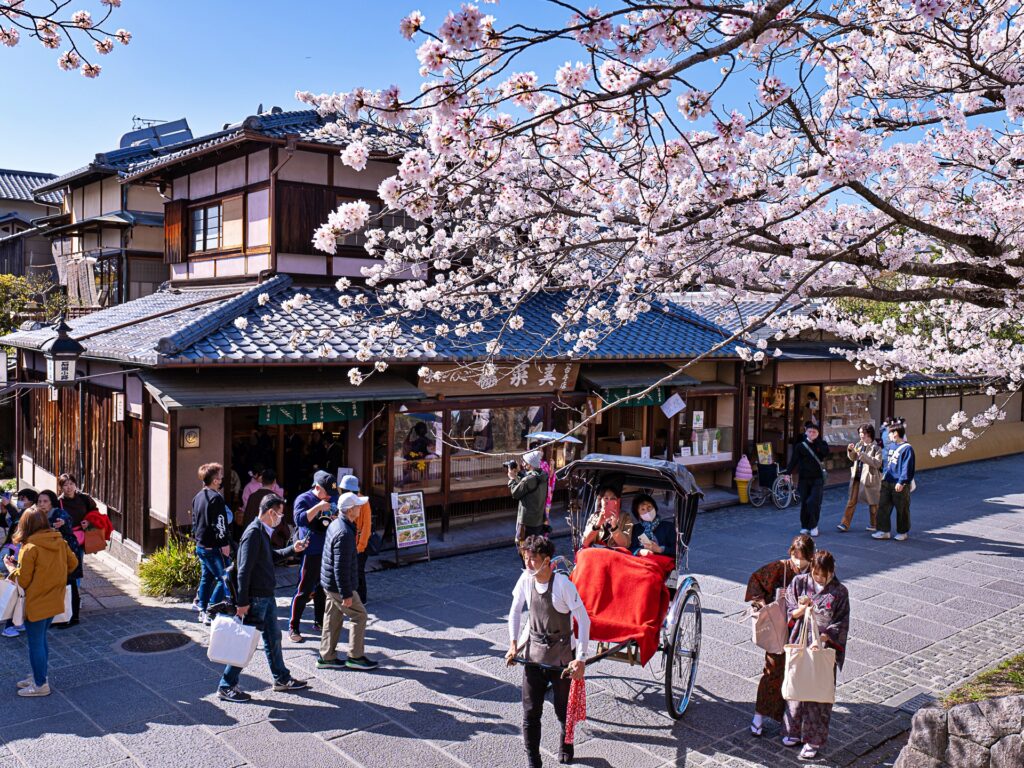 ねねの道の桜