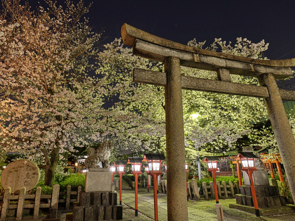 六孫王神社　桜ライトアップ